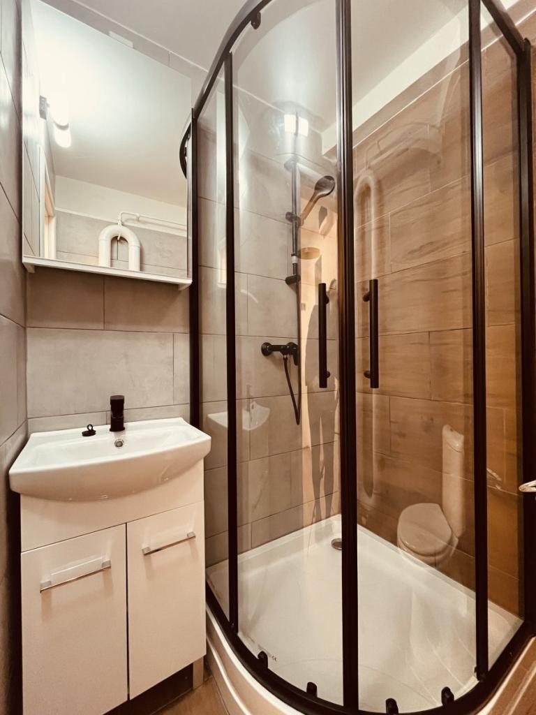 Pronájem bytu 1+1 28 m2, Ostrava – náhled fotky 11