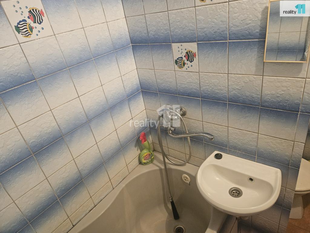 Pronájem bytu 1+1 38 m2