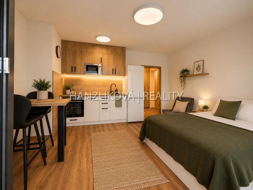 Pronájem bytu 1+kk 36 m2