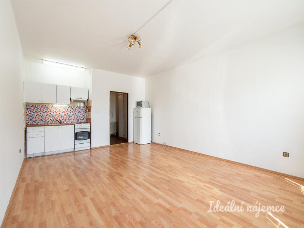 Pronájem bytu 1+kk 45 m2