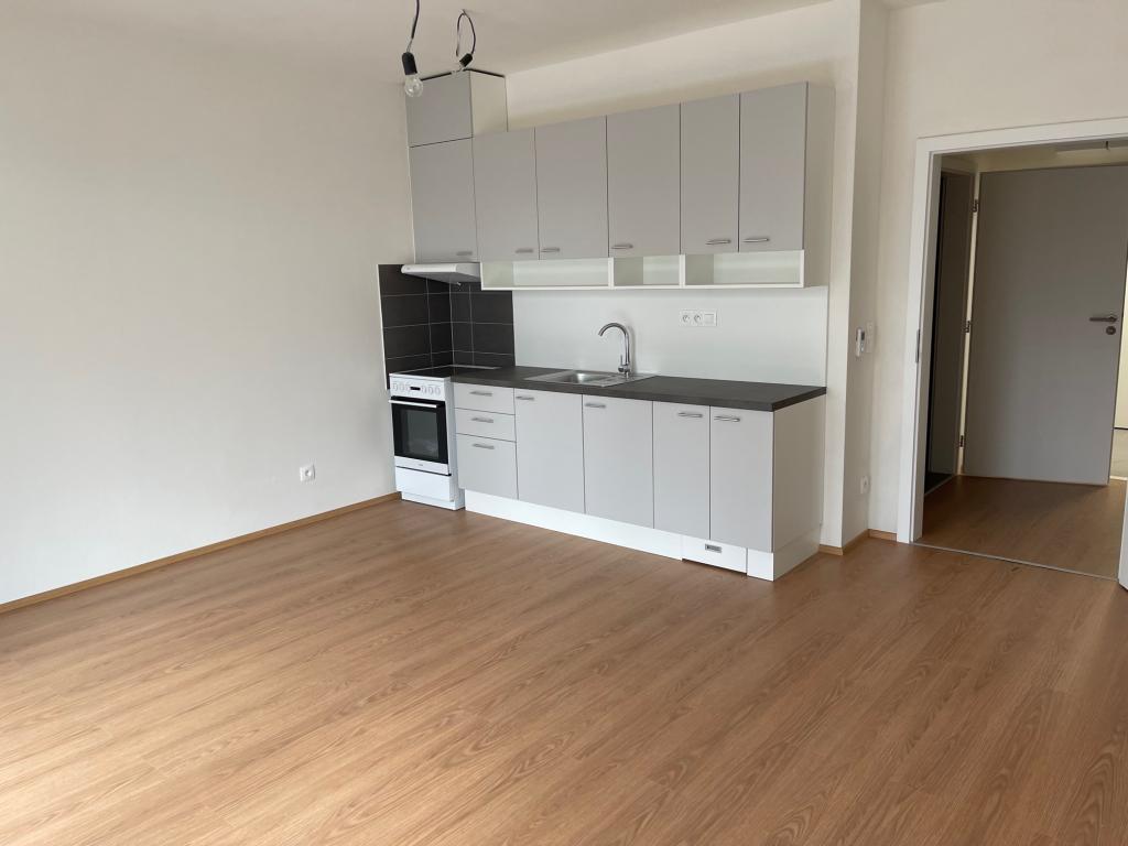 Pronájem bytu 1+kk 38 m2
