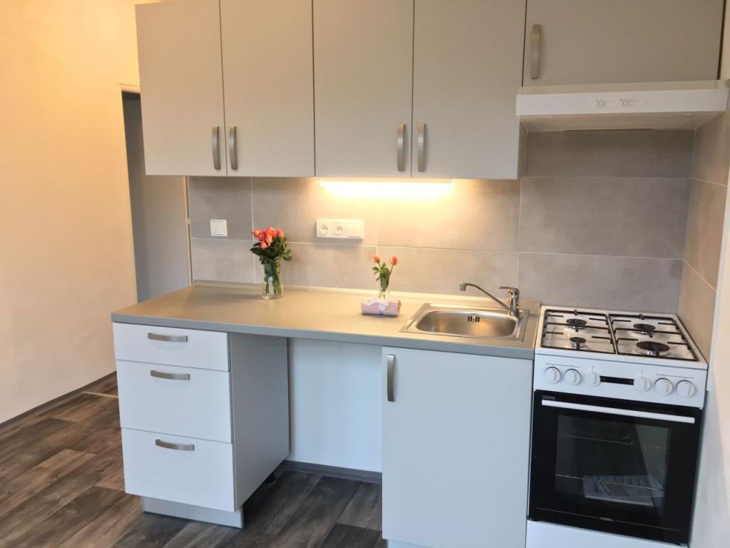 1+1 Apartment in Ostrava, Ostrava-Jih, Výškovice – pohled 2