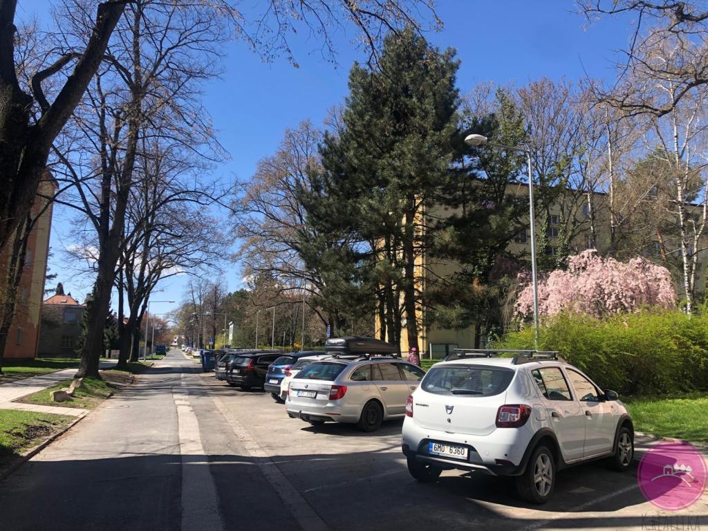 Pronájem bytu 2+1 53 m2, Olomouc – náhled fotky 12