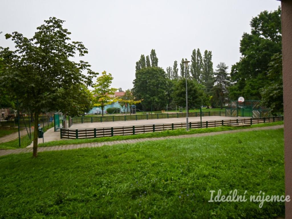 Ostatní