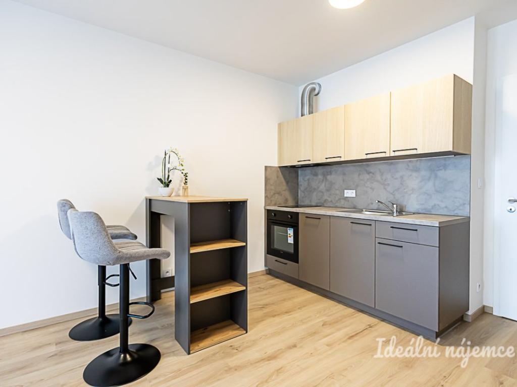 Pronájem bytu 1+kk 35 m2