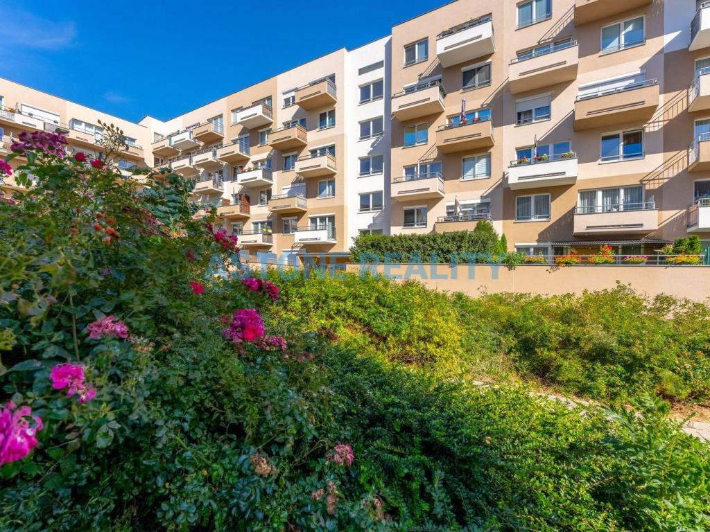 Prodej bytu 1+kk 36 m2, Praha – náhled fotky 23