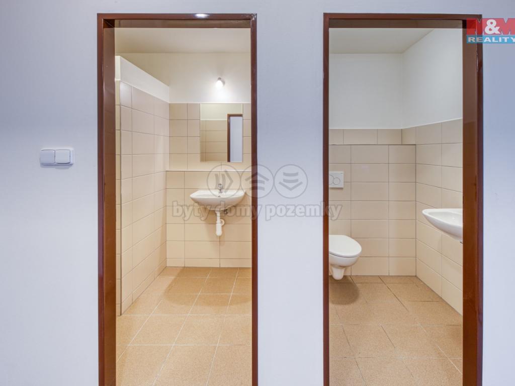 Pronajem bytu 2+1 55 m2