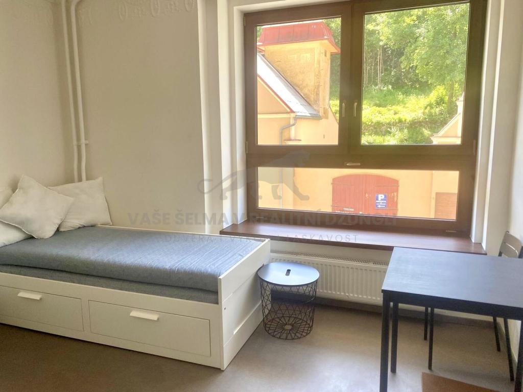 Pronájem bytu 1+kk 20 m2