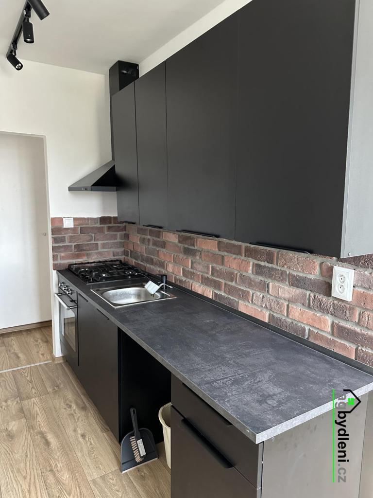 Pronájem bytu 1+1 36 m2