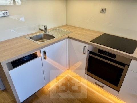 Pronájem bytu 1+kk 44 m2