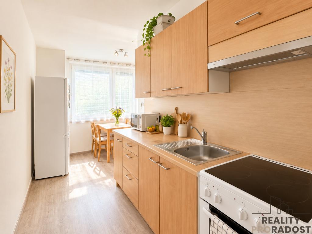 Pronájem bytu 1+1 39 m2