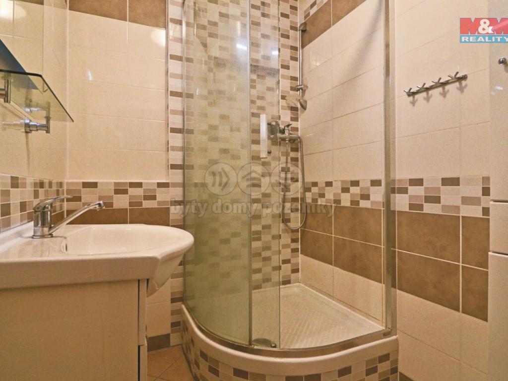 Pronajem bytu 1+kk 41 m2