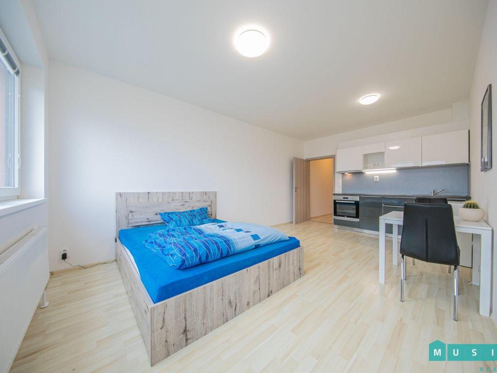 Pronájem bytu 1+kk 35 m2