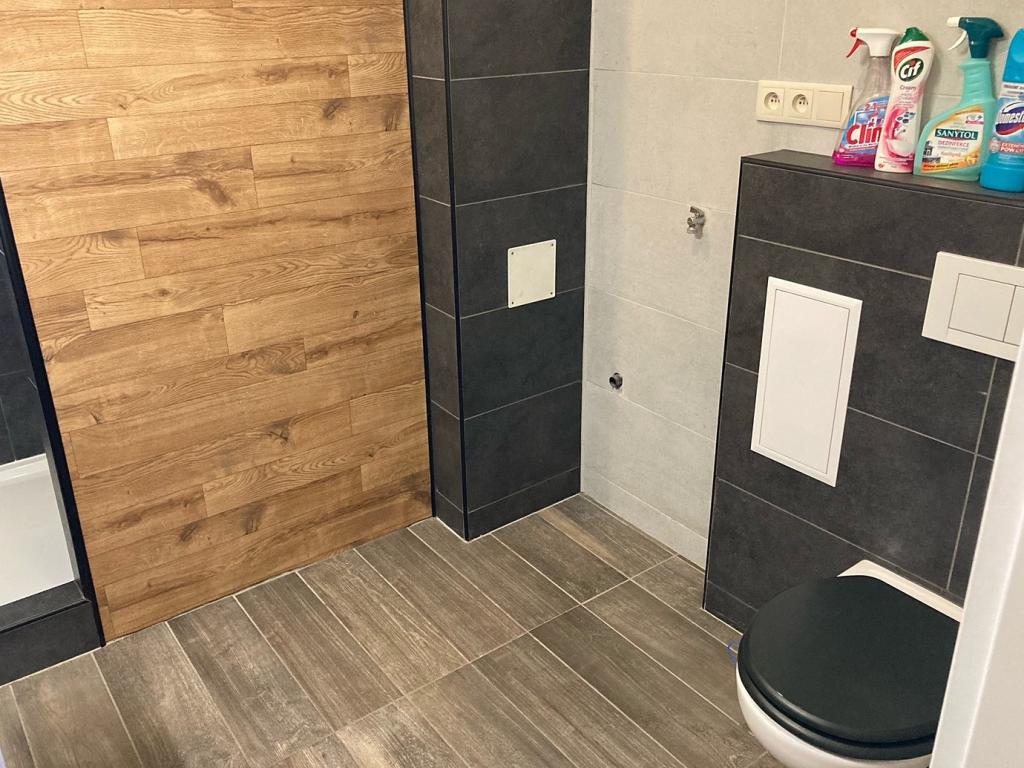Pronájem bytu 2+kk 58 m2