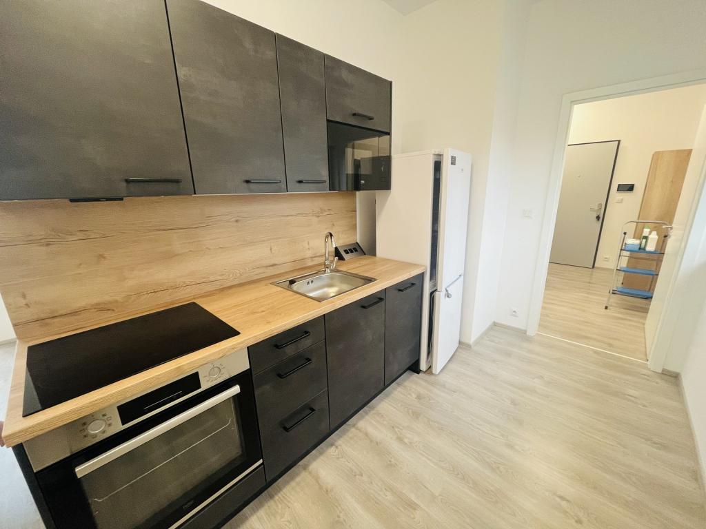Pronájem bytu 1+kk 60 m2