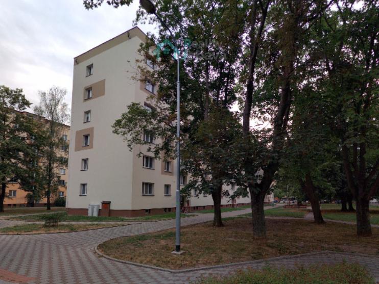 Pronájem bytu 2+1 56 m2