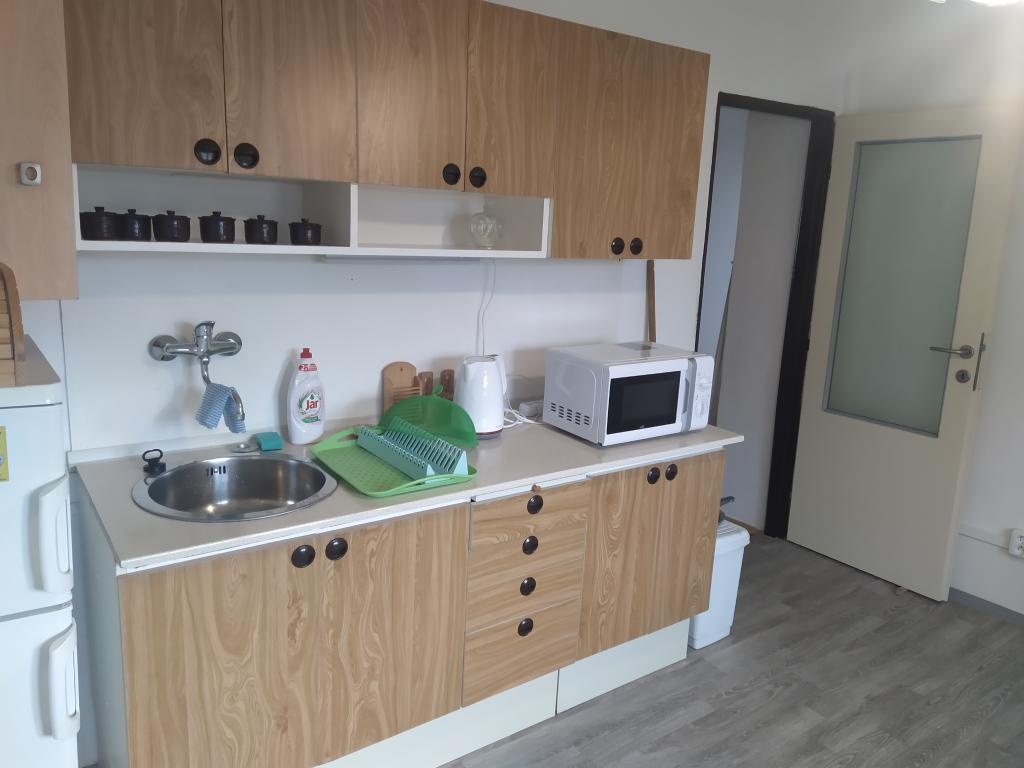Pronajem bytu 2+1 60 m2