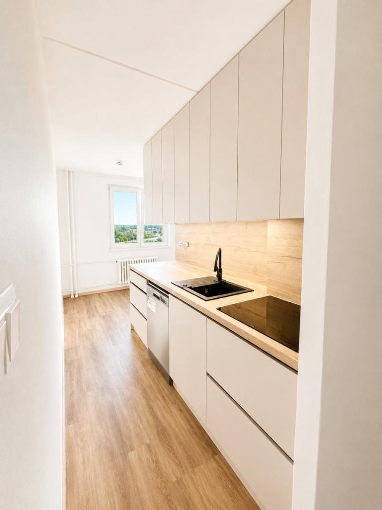 Pronájem bytu 3+1 65 m2
