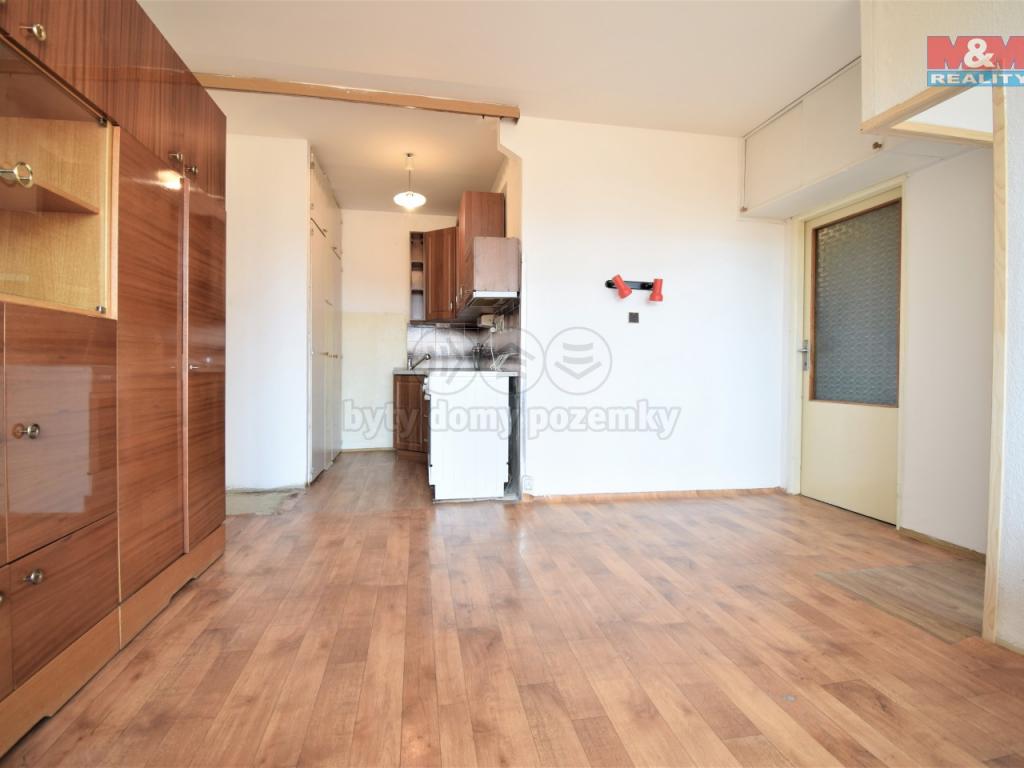 Pronajem bytu 1+kk 42 m2