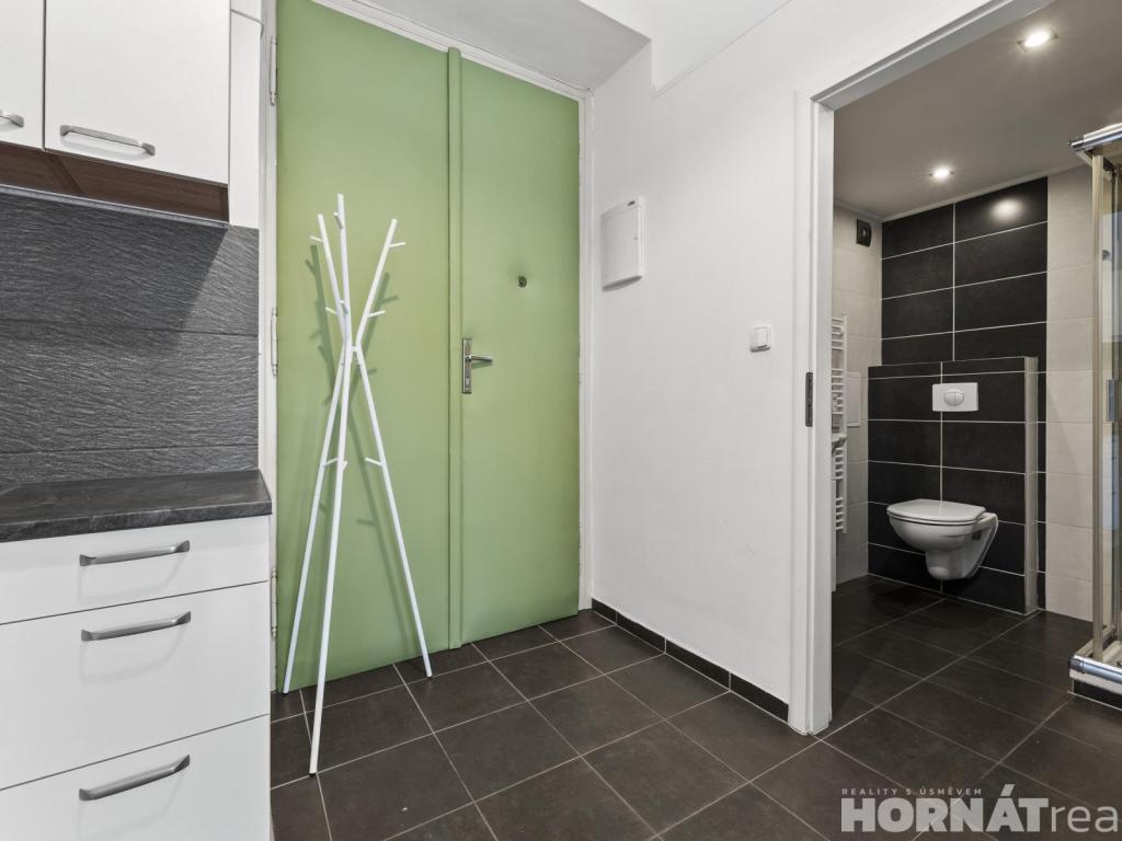 Pronájem bytu 1+kk 28 m2, Praha – náhled fotky 9