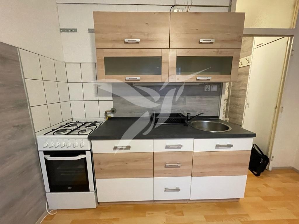 Pronájem bytu 1+1 43 m2