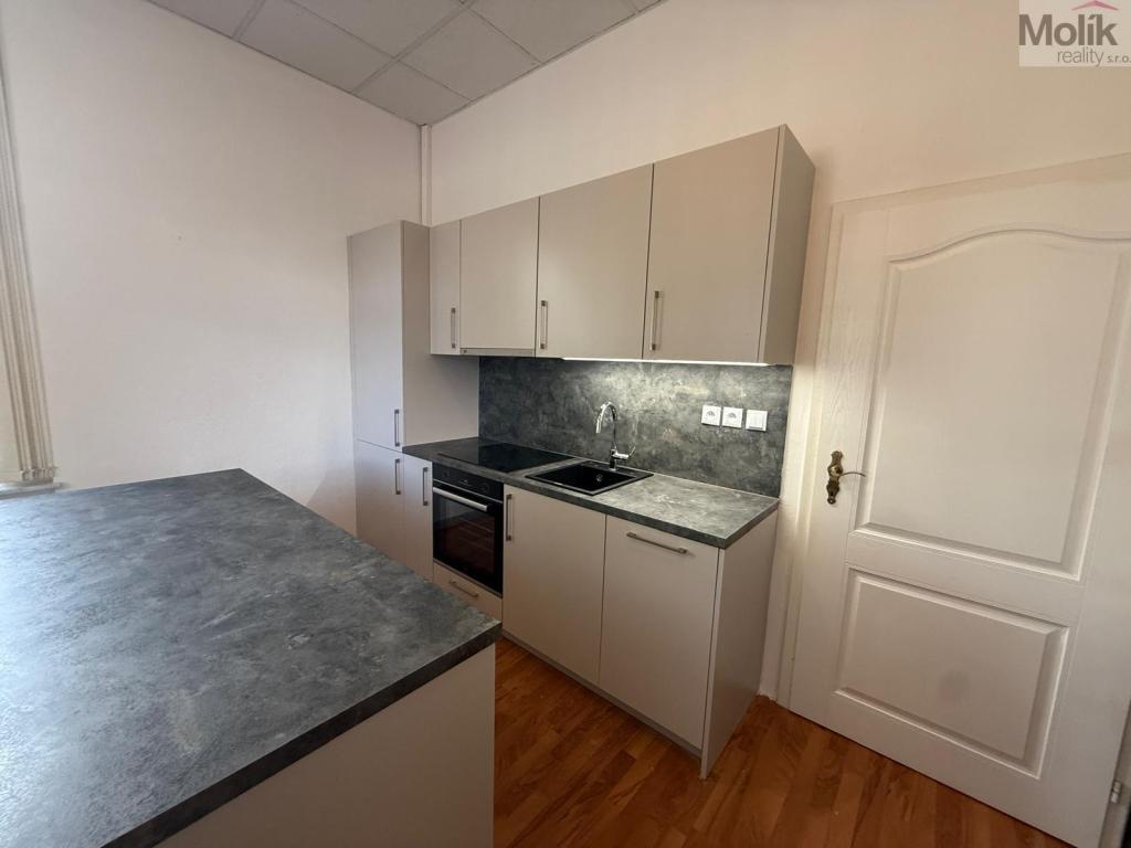 Pronájem bytu 3+1 150 m2