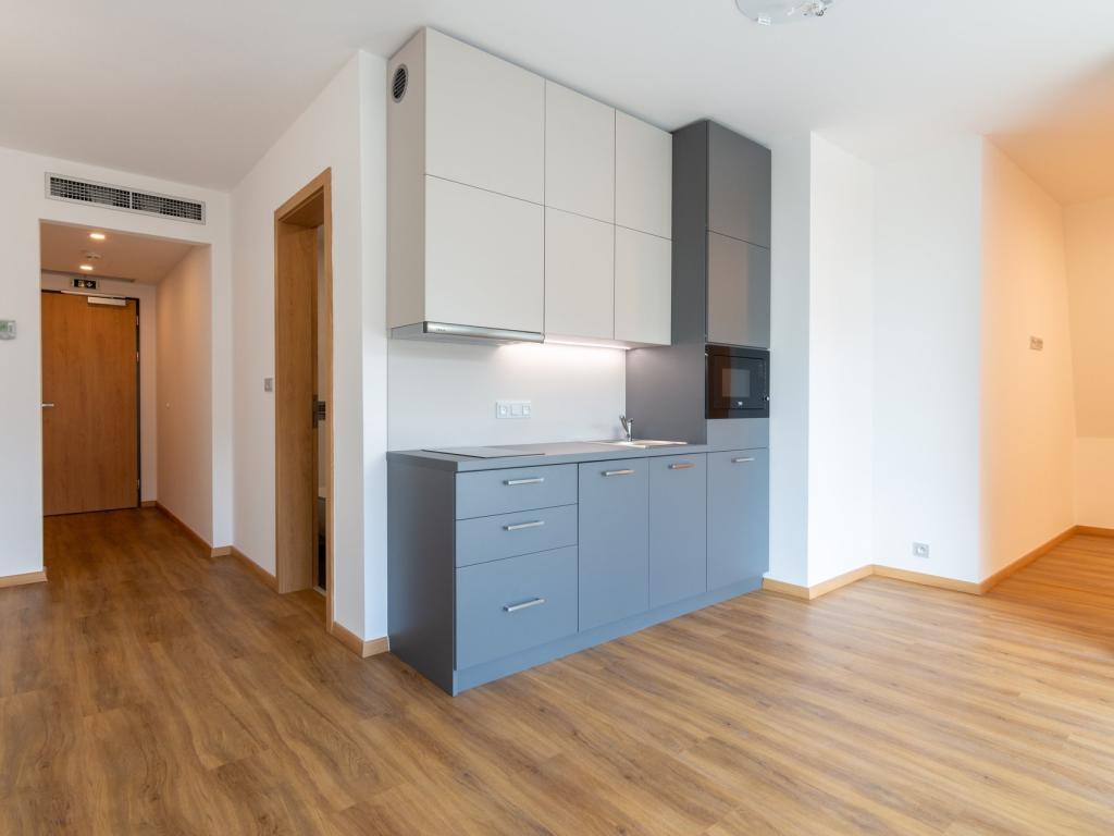 Pronájem bytu 1+kk 37 m2