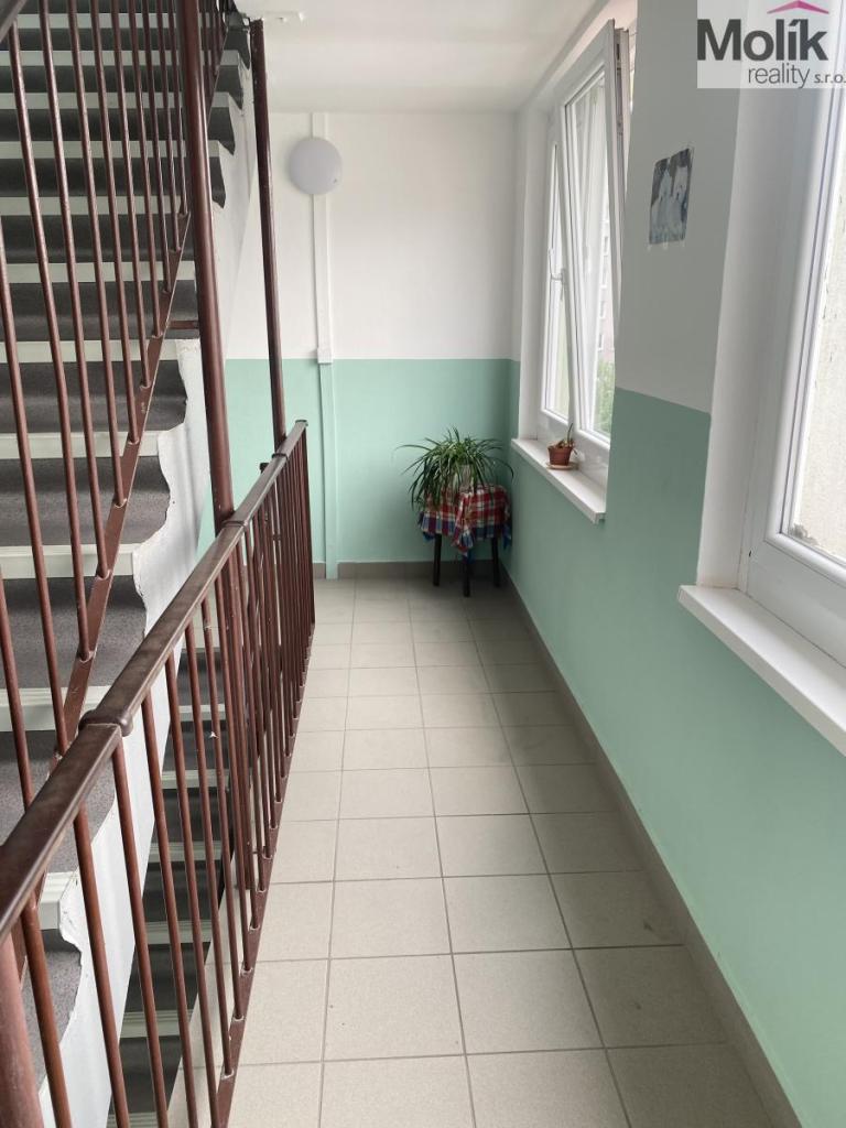 Prodej bytu 3+1 69 m2, Teplice – náhled fotky 17