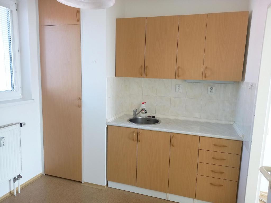 Pronajem bytu 2+1 40 m2