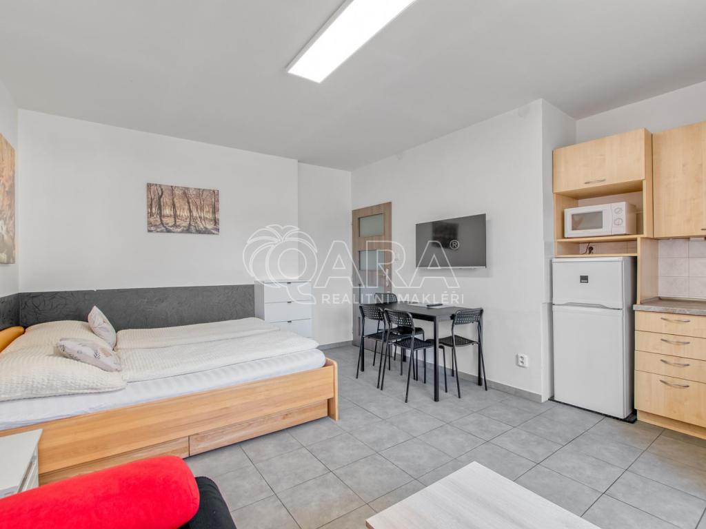 Pronájem bytu 1+kk 32 m2, Trojanovice – náhled fotky 4