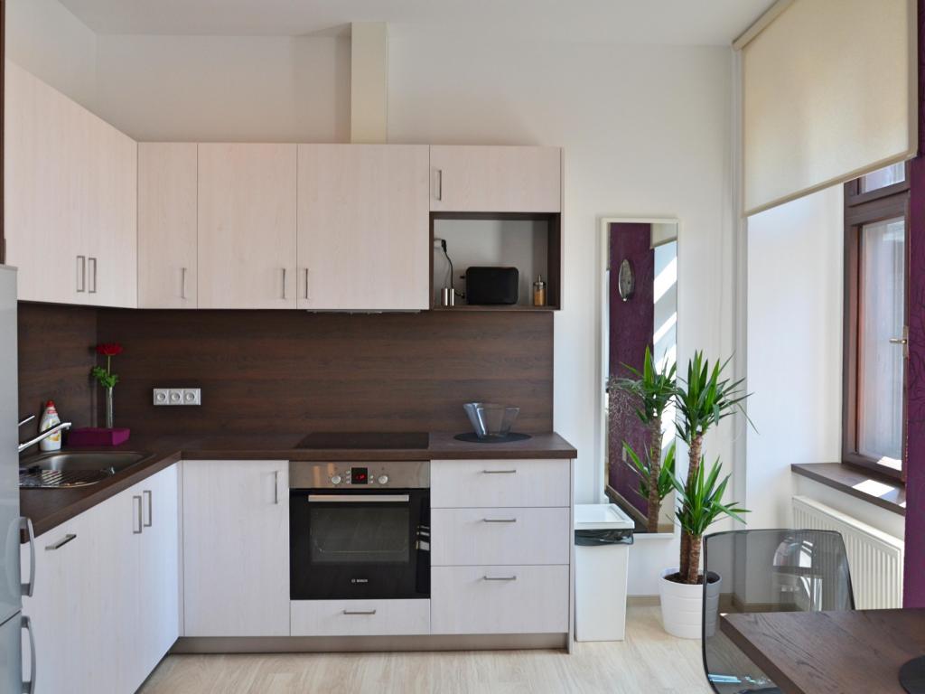 Pronajem bytu 1+kk 40 m2