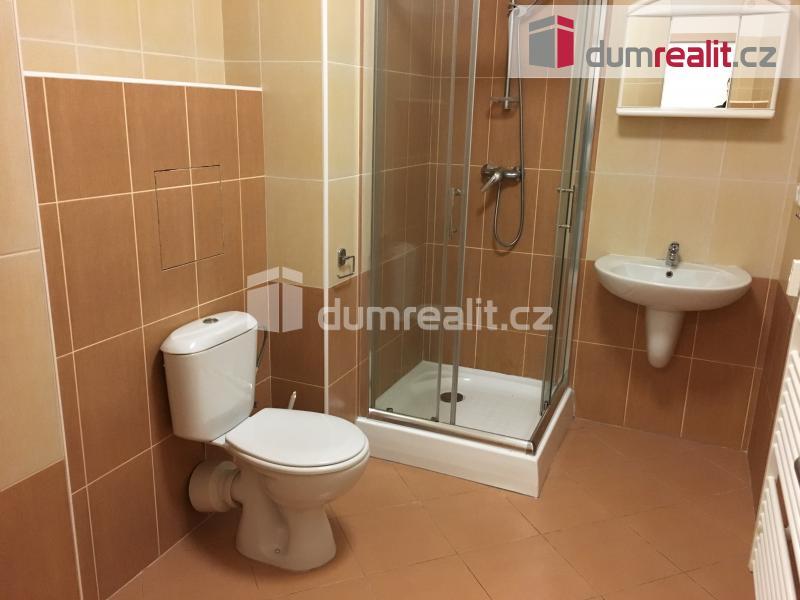 Pronájem bytu 1+kk 43 m2
