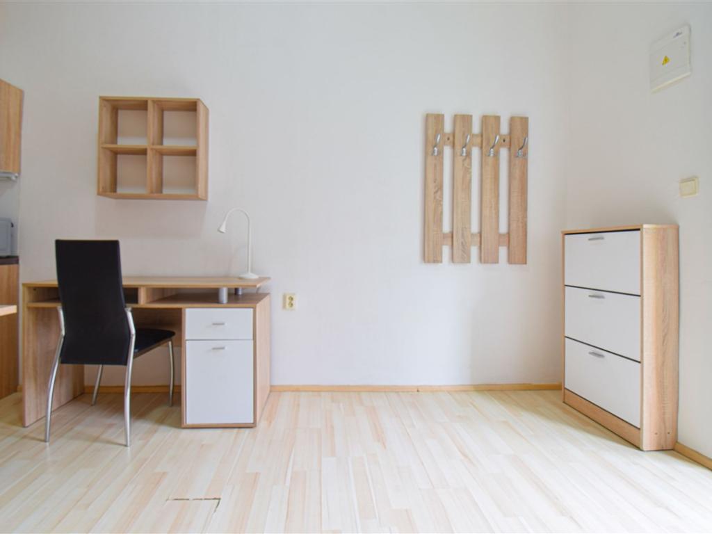 Pronájem bytu 1+kk 22 m2, Brno – náhled fotky 8