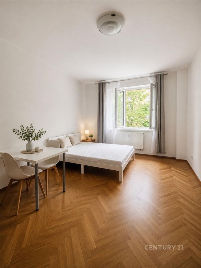 Pronájem bytu 1+kk 24 m2