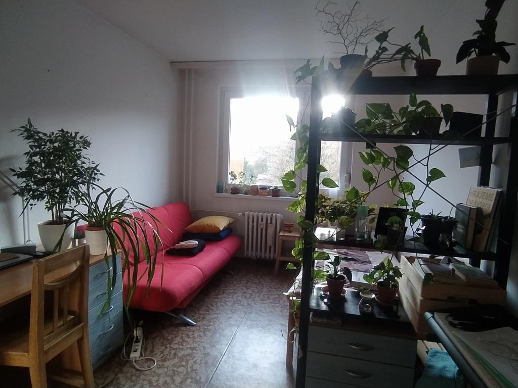 Spolubydleni bytu celý pokoj 86 m2