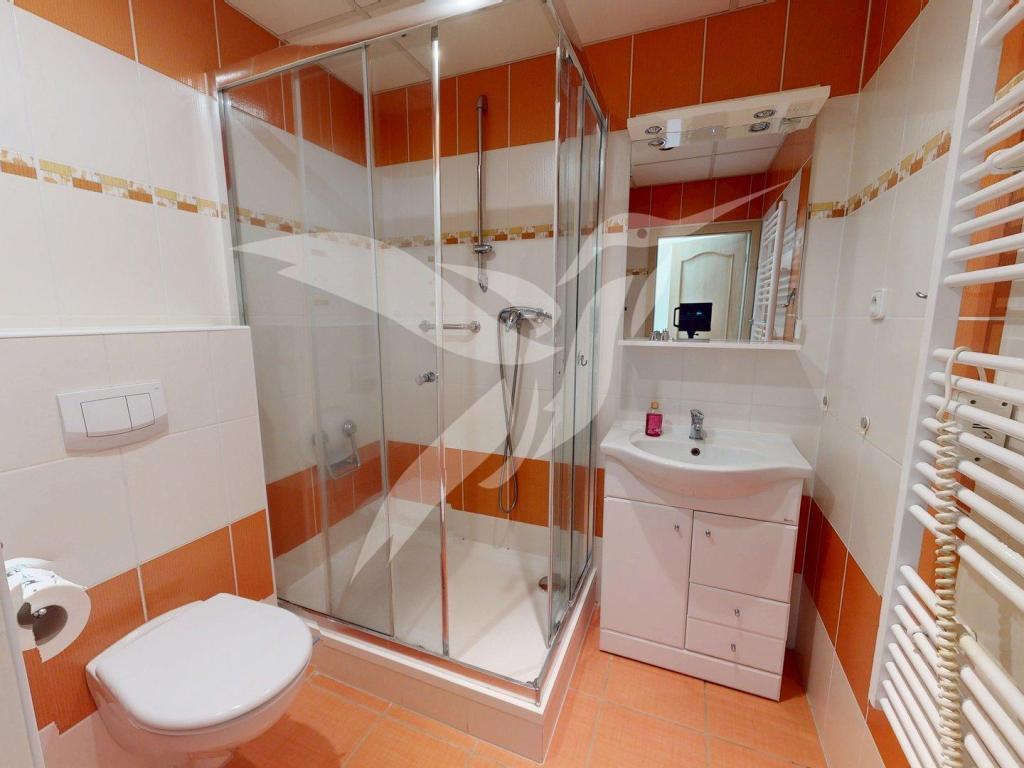 Pronájem bytu 2+1 61 m² – další
