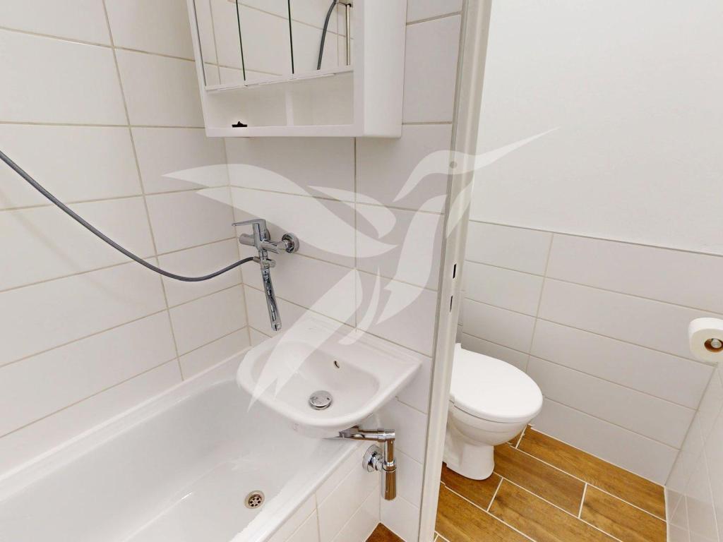 Pronájem bytu 1+1 39 m2