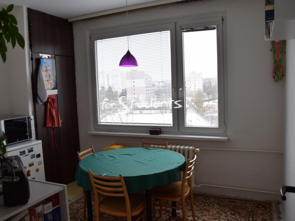Pronajem bytu 1+1 40 m2