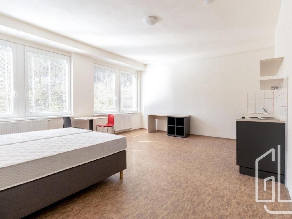 Pronájem bytu 1+kk 35 m2