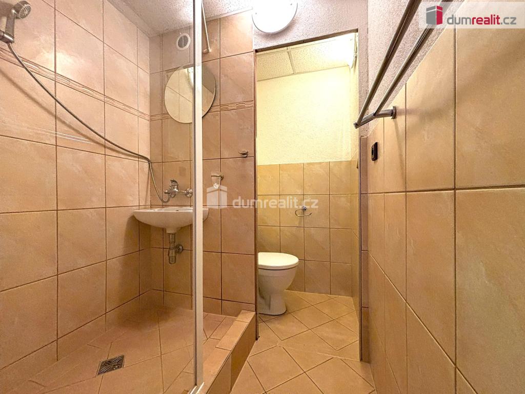 Pronájem bytu 1+1 40 m2