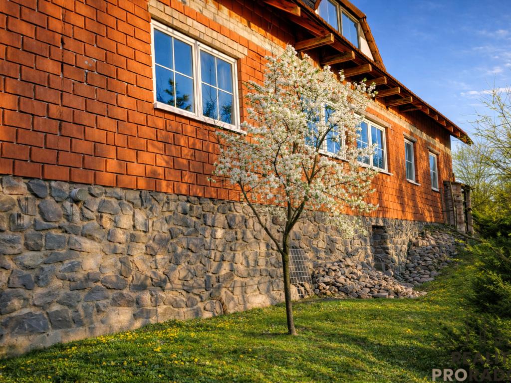 Prodej domu 300 m2