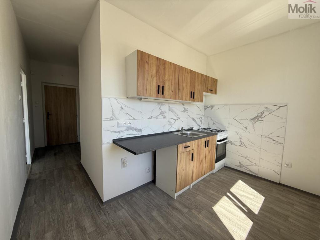 Pronájem bytu 2+1 55 m2