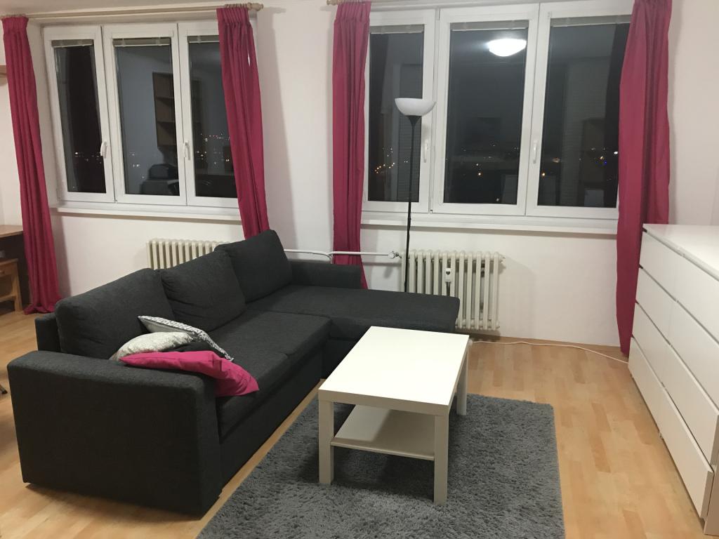 Pronájem bytu 1+kk 39 m2