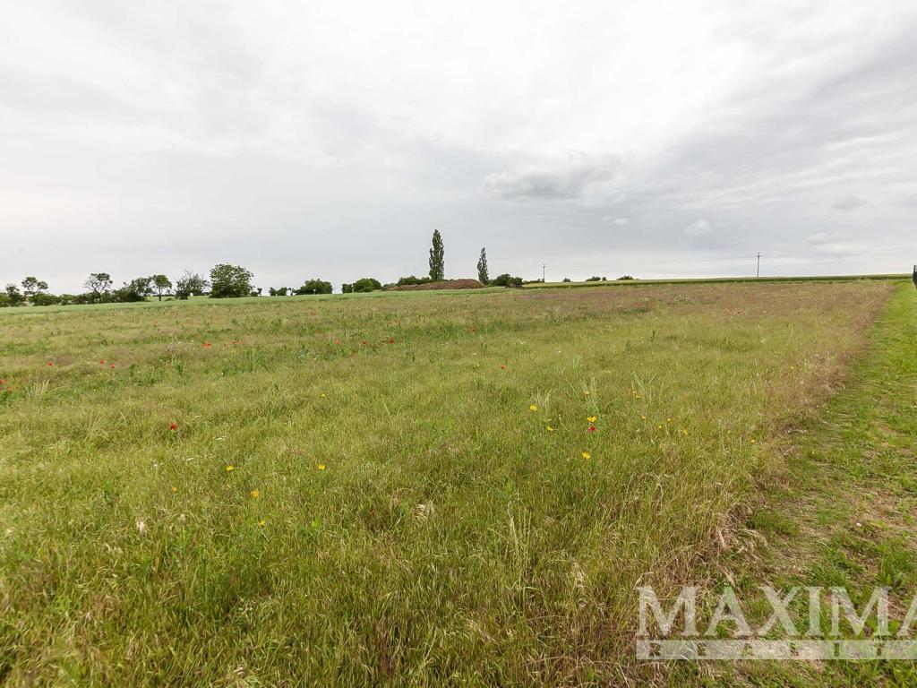 Prodej pozemku 1208 m2, Číčovice – náhled fotky 23