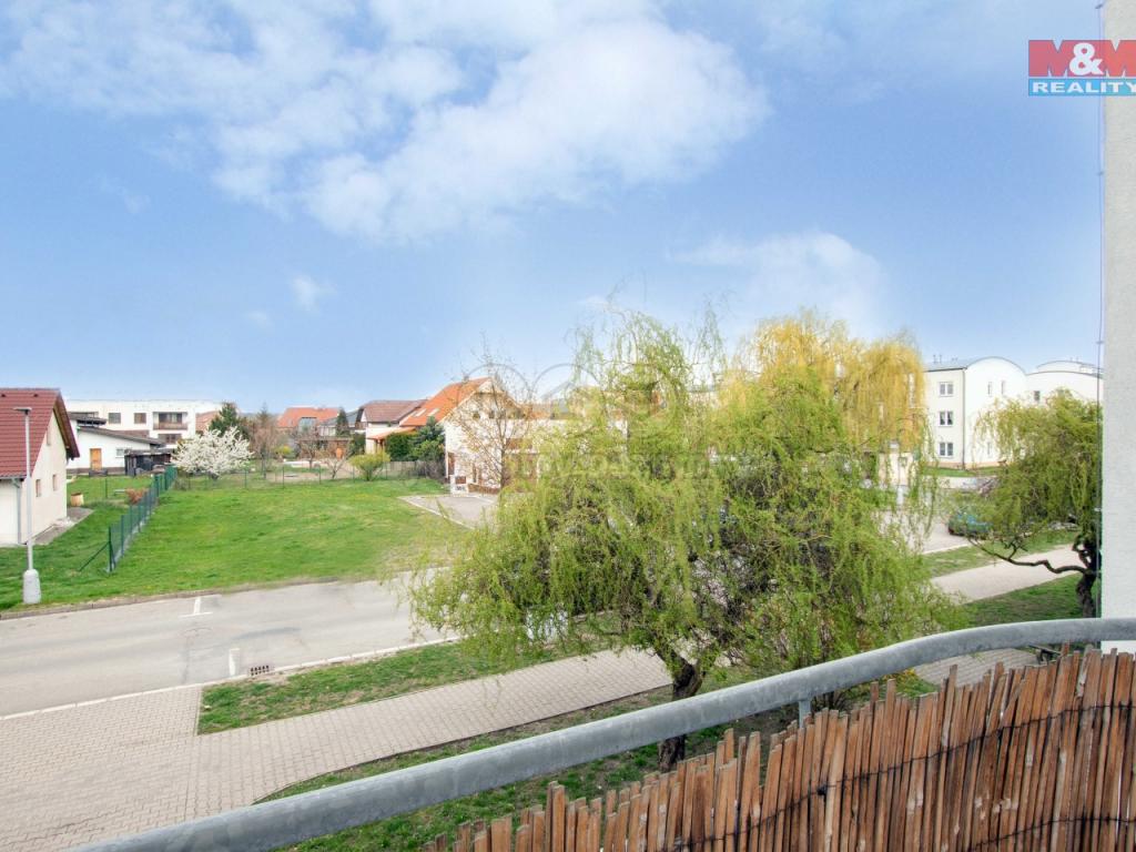 Pronajem bytu 2+1 53 m2