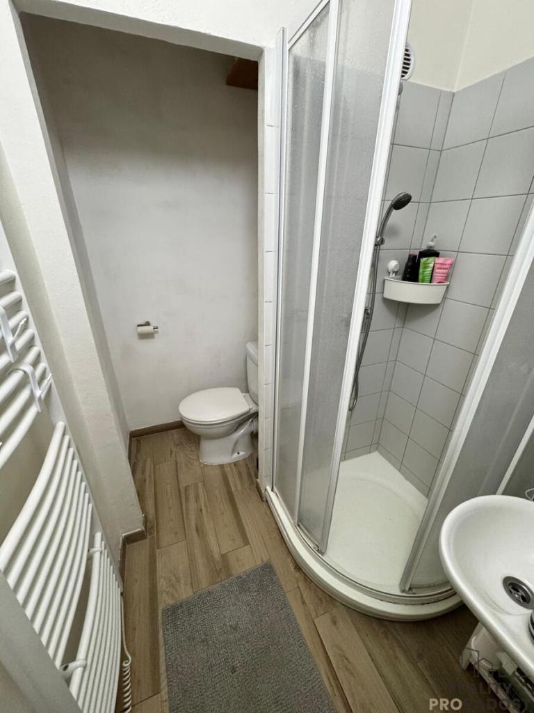 Pronájem bytu 1+kk 34 m2