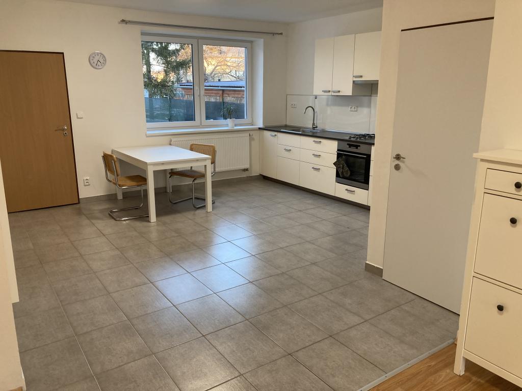 Pronajem bytu 1+kk 55 m2