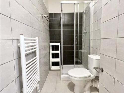 Pronájem bytu 2+1 40 m2, Brno – náhled fotky 11