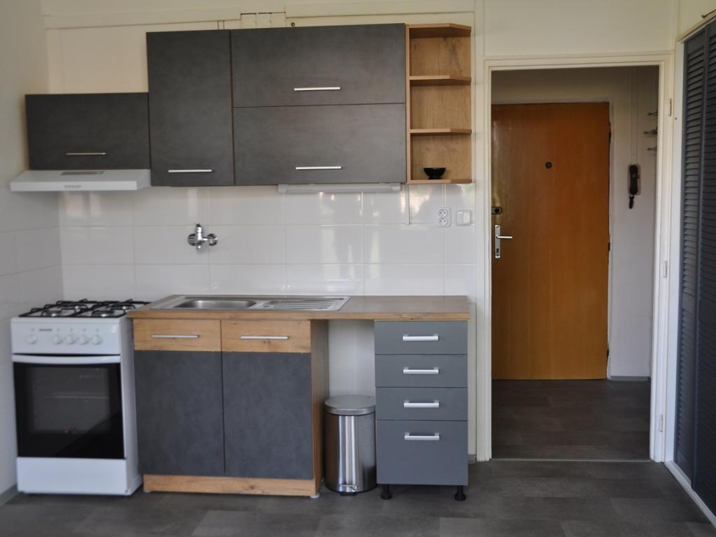 Pronájem bytu 1+1 42 m2