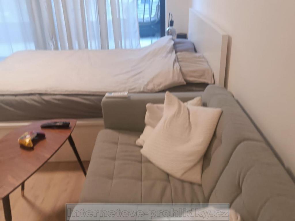 Pronájem bytu 1+kk 32 m2